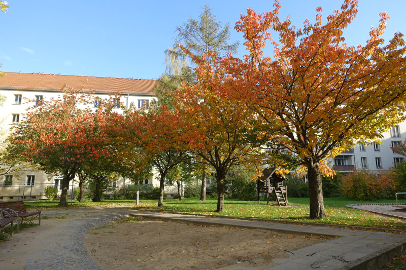 Laubfärbung im Hof Laubfärbung im Hof